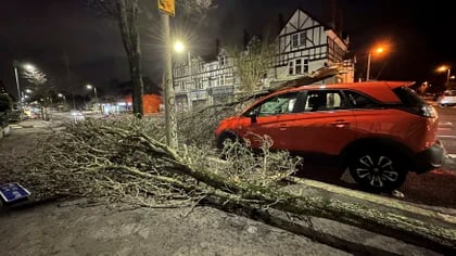 Una rama caída se ve sobre un auto en la calle Lisburn de Belfast, en el Irlanda del Norte, al paso de la tormenta Isha el domingo 21 de junio de 2024. (Liam McBurney/PA via AP)
