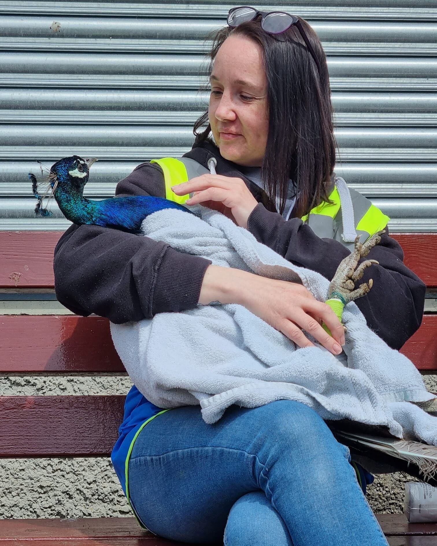 Angel con los polluelkos que tuvo con Louis, las cuatro criaturas gozan de gran salud