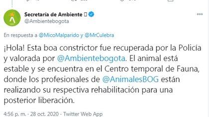 Secretary of the Environment announced that the boa is stable and is in a temporary wildlife center / (Twitter: @Ambientebogota).