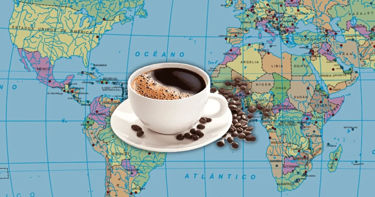 The country will buy Peruvian coffee worth USD 36 million in 2024 and lead the export rankings.