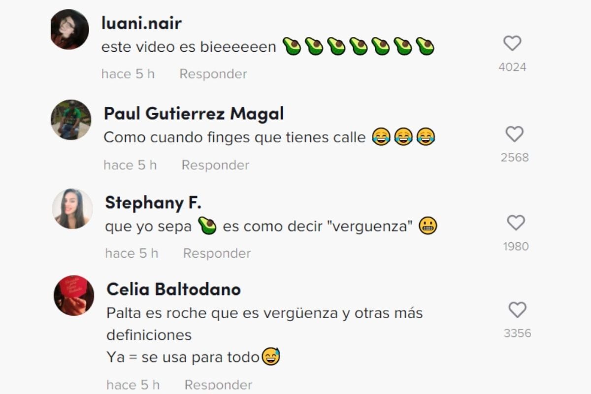 Reaction from users to Stephanie Cayo's video. (Photo: TikTok Capture)