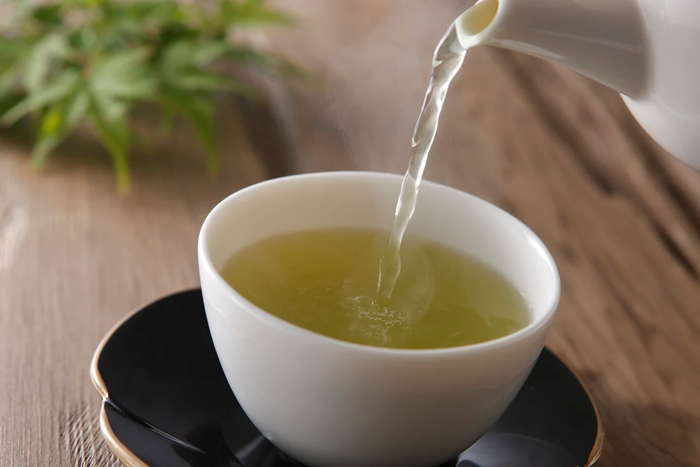 Para qué sirve el té verde y cuáles son sus beneficios para la salud -  Infobae