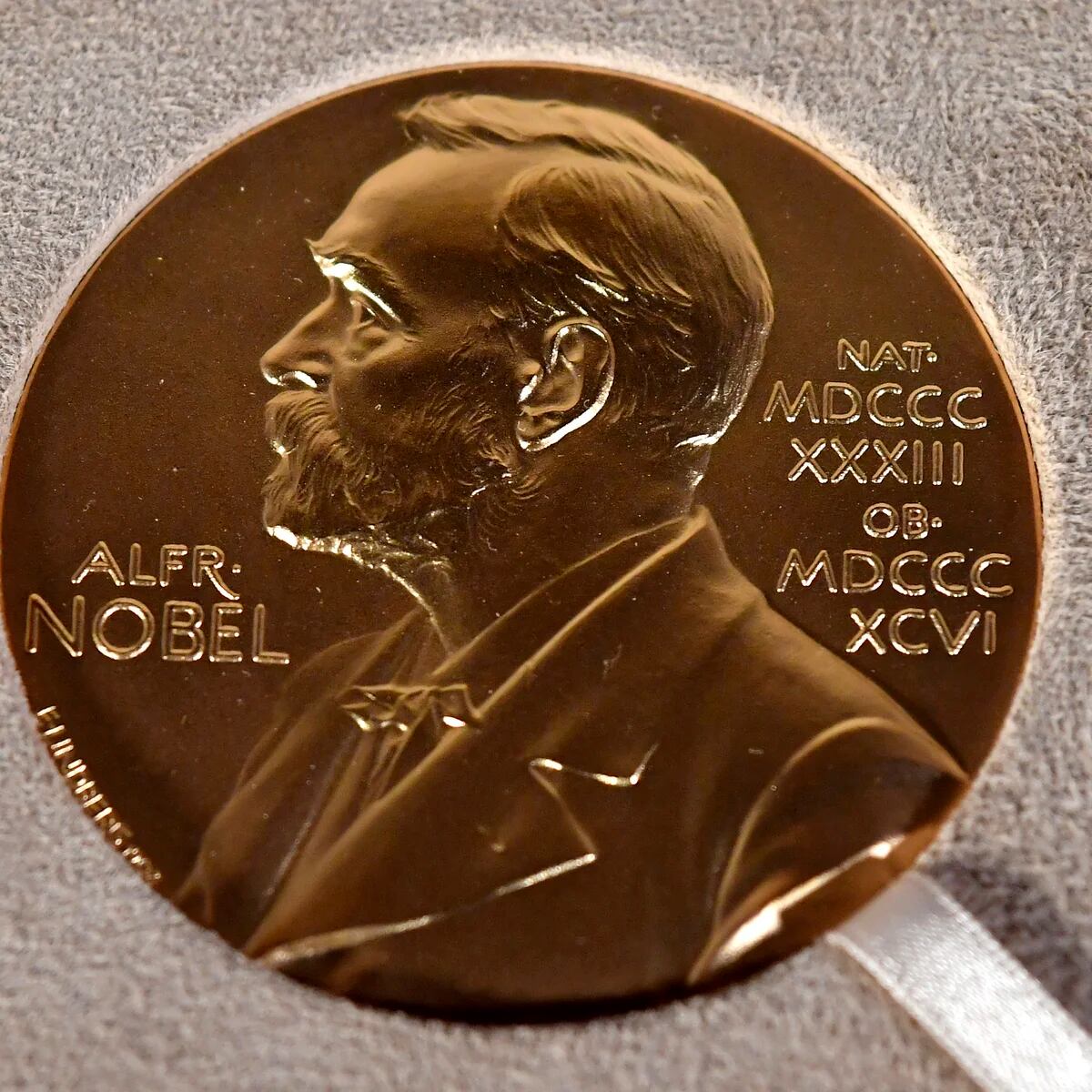 Carta de 68 ganadores del Premio Nobel a Javier Milei: “El sistema  argentino de ciencia y tecnología se acerca a un peligroso precipicio” -  Infobae
