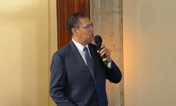 Luis Rodríguez Bucio, subsecretario de Seguridad y Protección Ciudadana. | Captura de pantalla