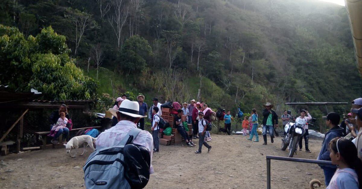 Defensoría del Pueblo pide eficacia al Gobierno nacional por el  desplazamiento de 11.150 ciudadanos en Colombia - Infobae