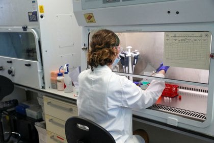 Un científico trabaja en las instalaciones de Oxford Vaccine Group en el Oxford Churchill Hospital (Steve Parsons / Pool a través de REUTERS)