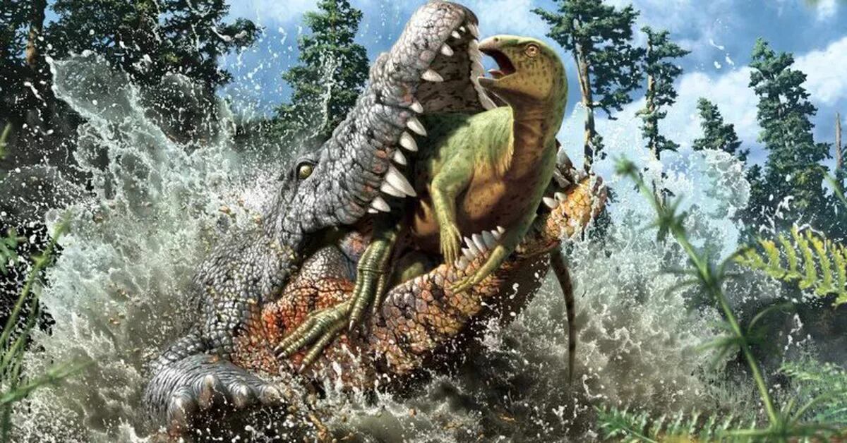Un enorme cocodrilo fue descubierto con los restos de un dinosaurio en su  estómago - Infobae