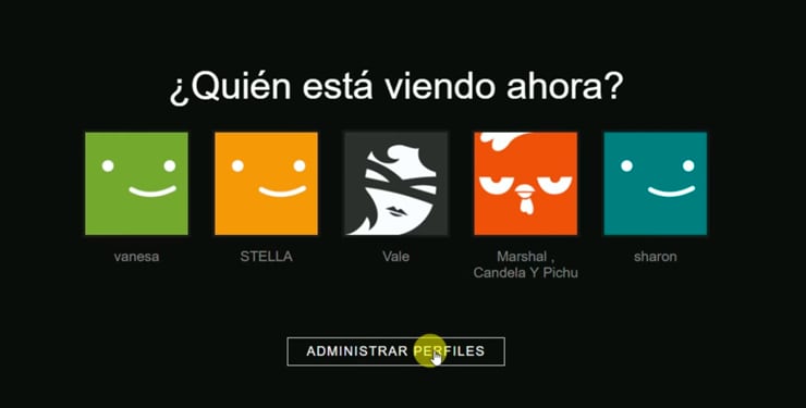 Administrar Perfiles en Netflix. (foto: Maestro de la Computación)