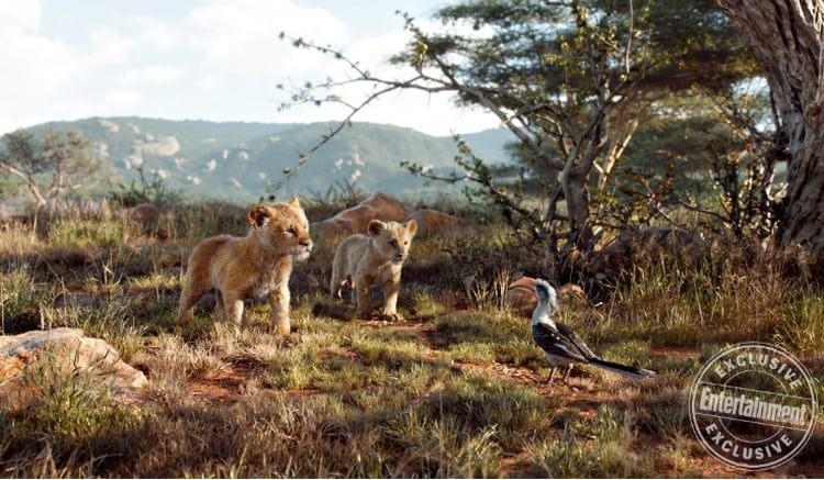 Nala, Simba y Zazú en la sabana (Foto: Disney/Entertainment Weekly)