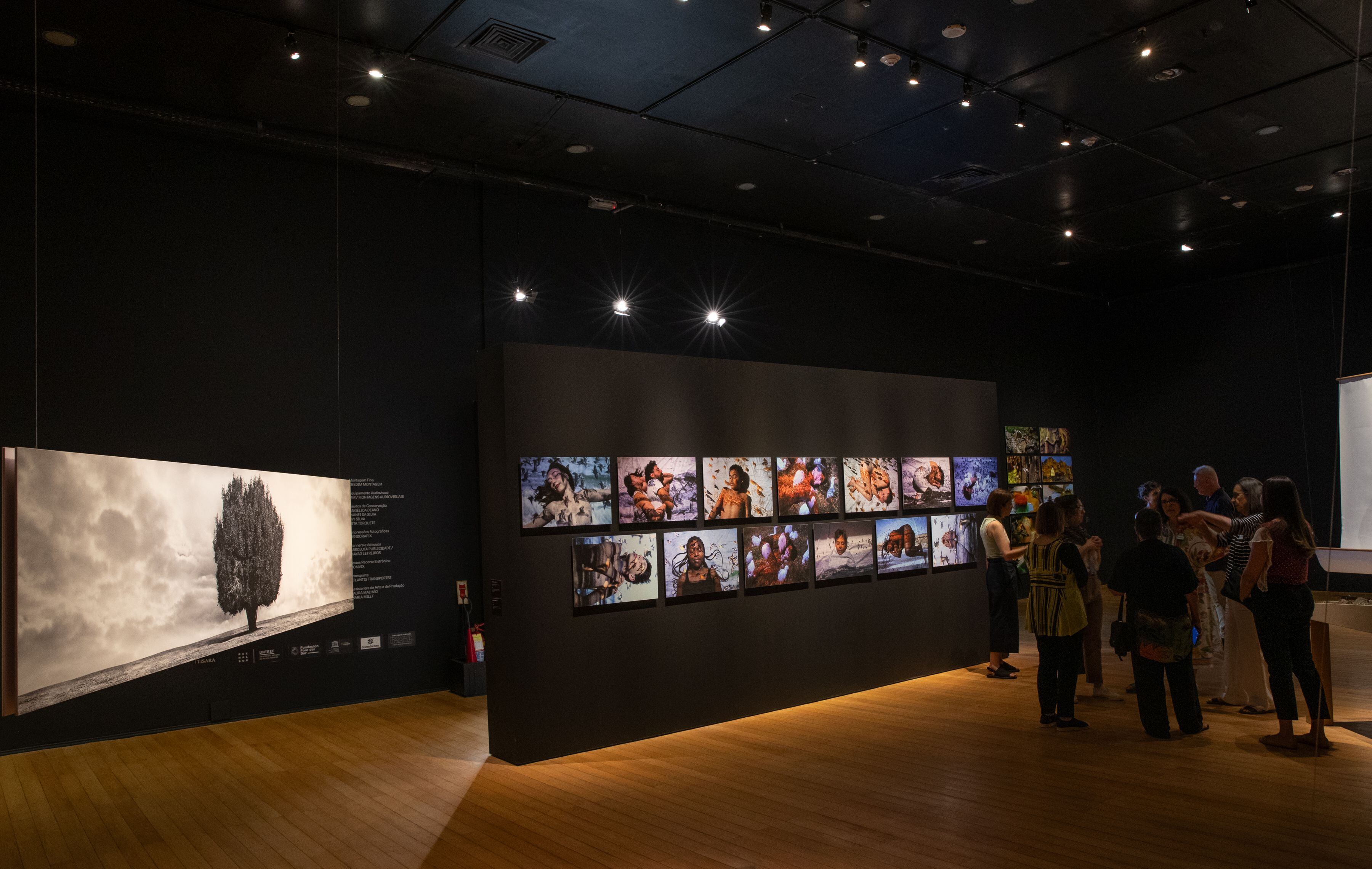 BienalSur llega a Río de Janeiro con la muestra "Signos del paisaje"