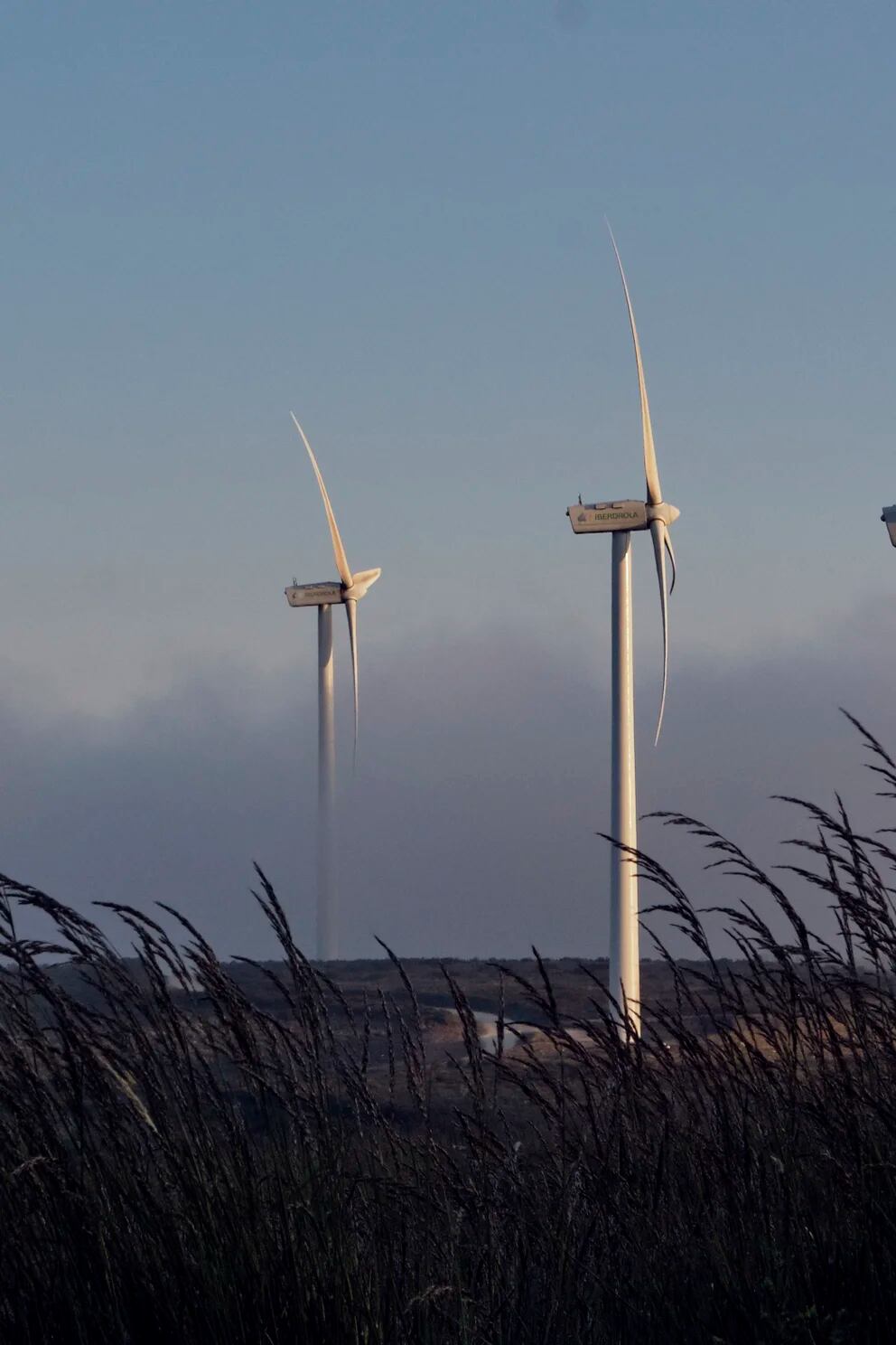Las eólicas son las nuevas nucleares: turbinas sí, pero no en mi pueblo