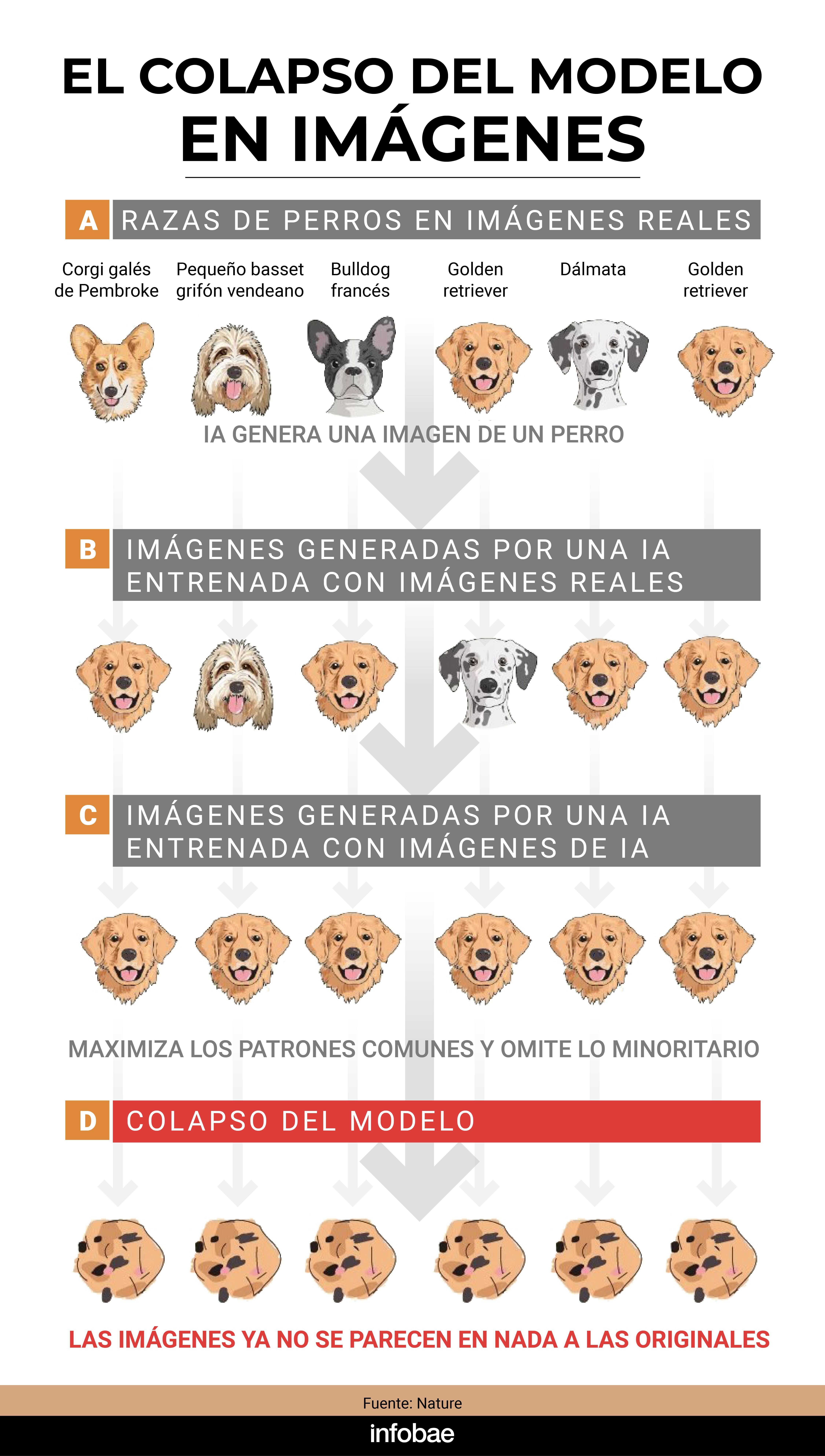 infografia