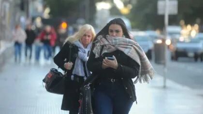 Heladas negras: cuáles son las consecuencias del fenómeno que puede provocar la extensa ola de frío