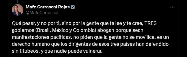 La representante aseguró que los mandatarios de Brasil, México y Colombia esperan movilizaciones pacíficas - crédito @MafeCarrascal/X