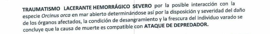 Parte del documento enviado por la Organización Científica para Conservación de Animales Acuático a la Municipalidad de Punta Hermosa.