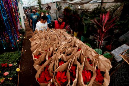 Venta de flores para Nochebuena en un mercado de la alcaldía de Xochimilco (Foto: EFE)