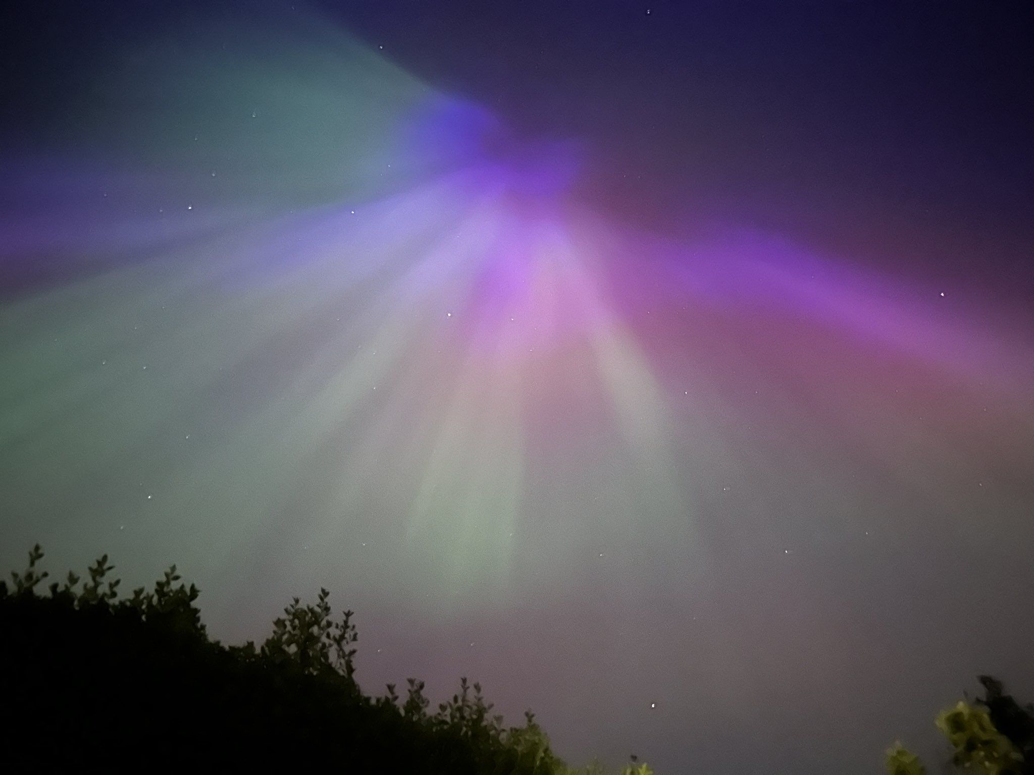 auroras boreales (X: @forestfairylake)