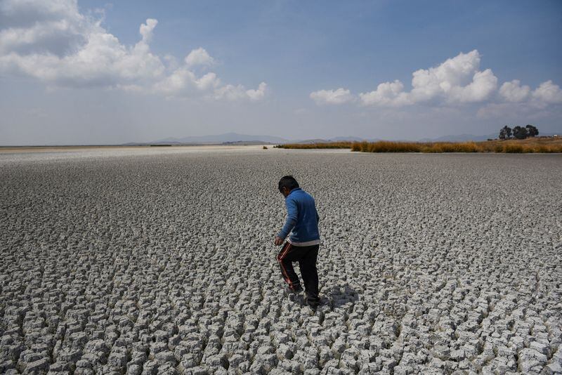 Alex Flores camina sobre una parte seca del lago Titicaca, walks on a dry area of Lake Titicaca, la cuenca de agua dulce más grande de Latinoamérica, que está cerca de niveles bajos récord, en Isla Cojata, Bolivia October 26, 2023. REUTERS/Claudia Morales/File Photo