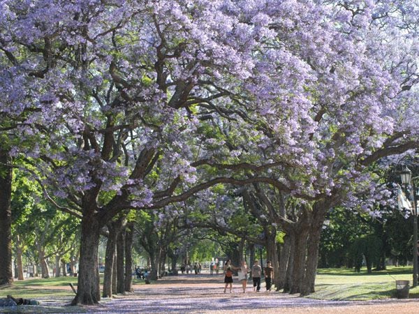 La Ciudad de Buenos Aires y sus alrededores se preparan para un fin de semana cálido, estable y con temperaturas cercanas a los 30 grados