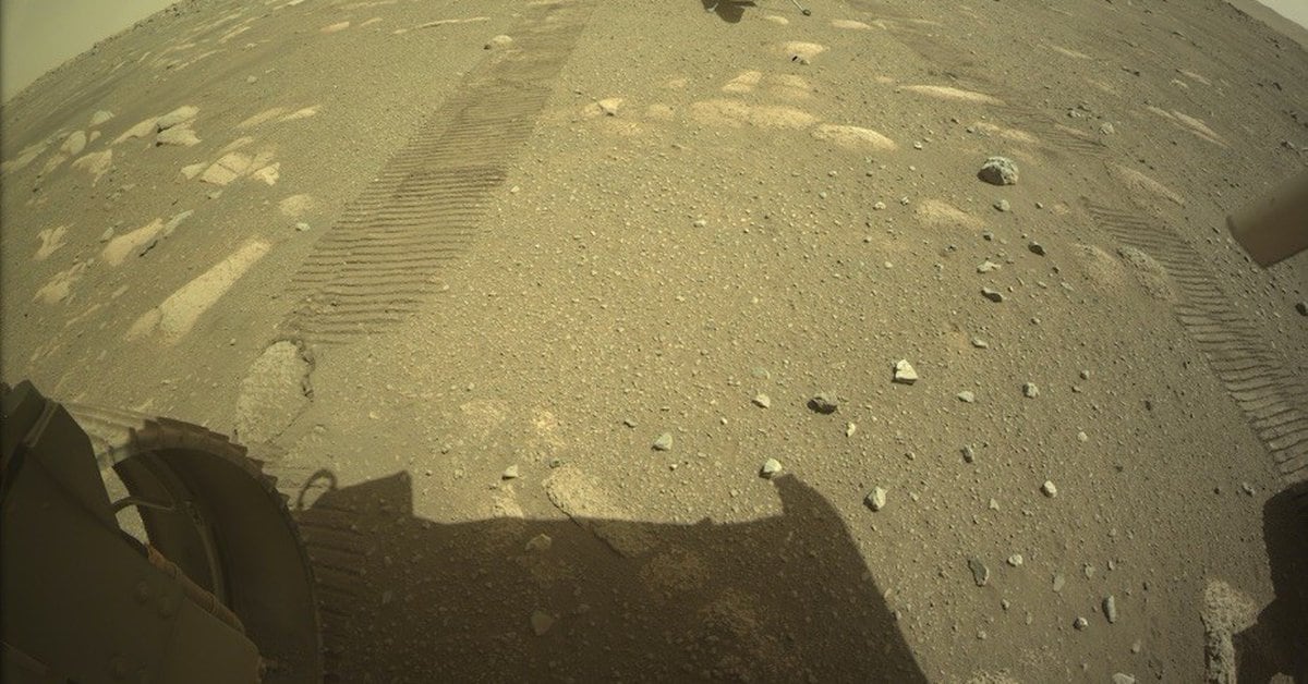 Science – an ingenious helicopter touching the surface of Mars