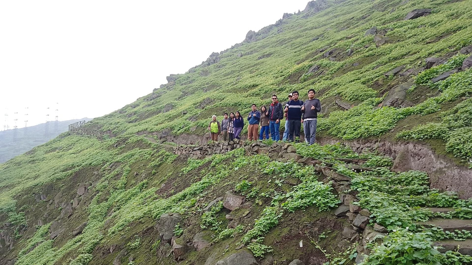 Voluntarios durante visita a las Lomas de Amancaes junto con PAFLA. Foto: Cecilia Janampa