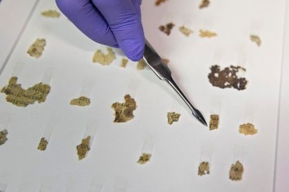 La curadora del Autoridad de Antigüedades de Israel Tanya Bitler muestras los fragmentos hallados en Judea. (AP/Sebastian Scheiner)