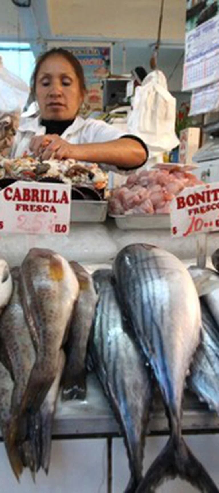 Semana Santa: Sepa cómo reconocer un pescado fresco - Noticias