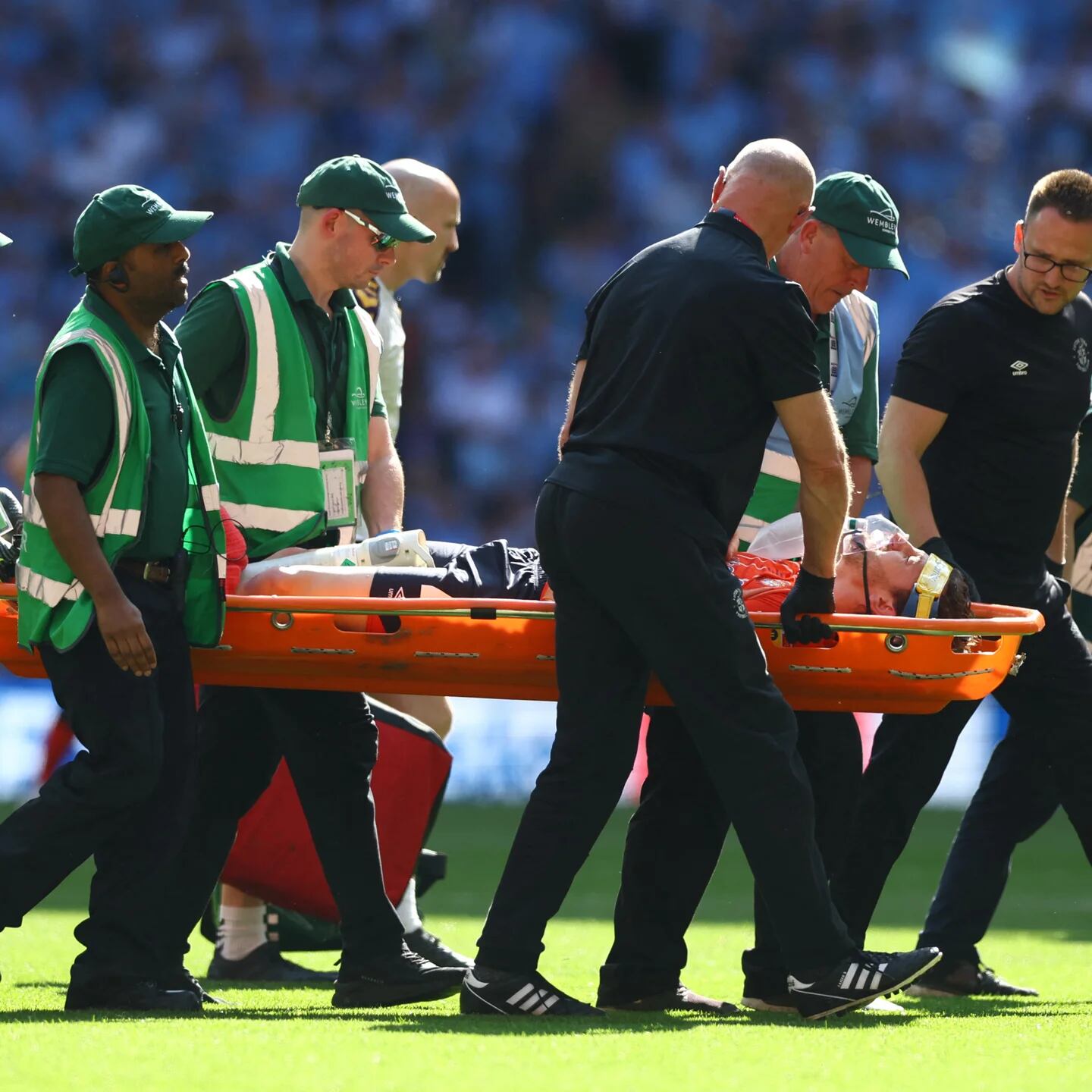 História interna  Ascensão da Premier League de Luton Town usando vetor e  vídeo profissional - Catapulta