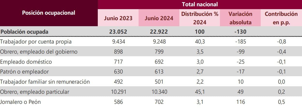 Población ocupada de acuerdo a su oficio o profesión, según el informe de desempleo del Dane a junio de 2024 - crédito Dane