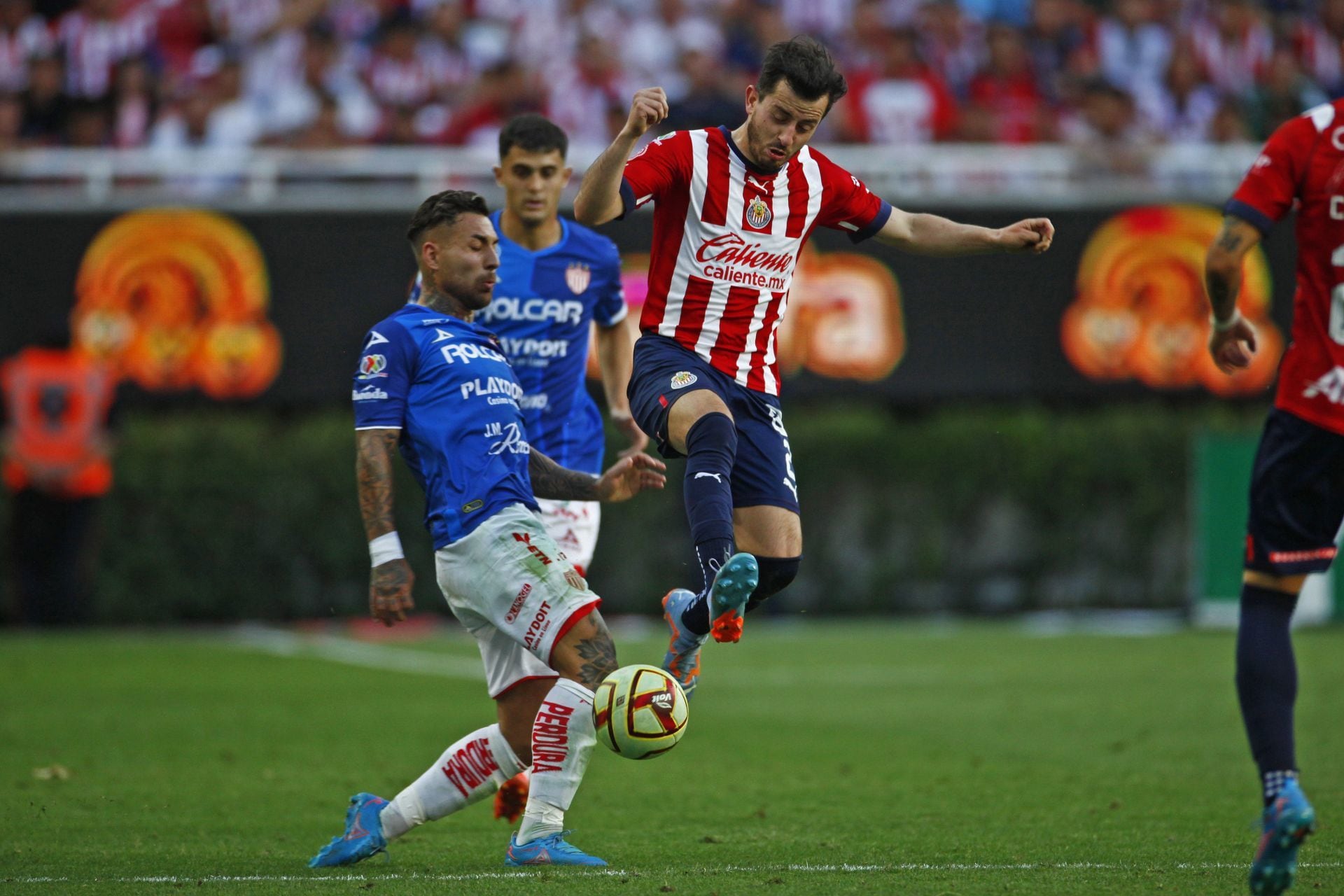 Chivas Vs Necaxa Dónde Ver El Partido En Vivo Infobae 2443