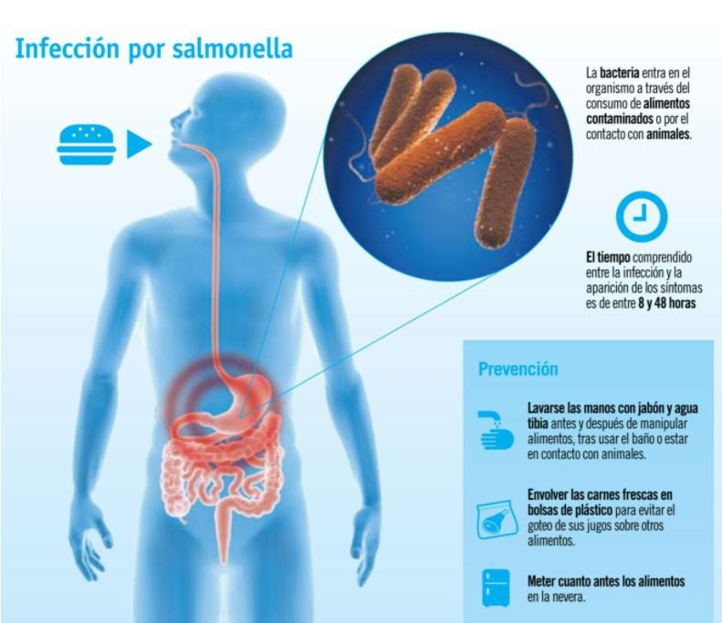 Europa retira del mercado chocolates Kinder Sorpresa tras casos de  salmonelosis – El Financiero