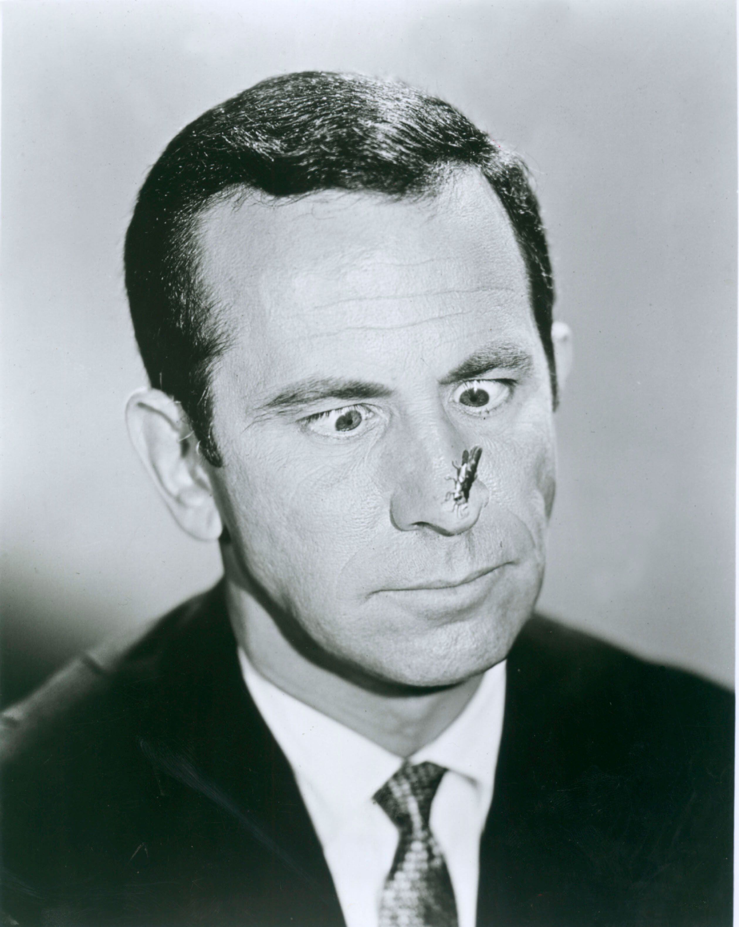 Don Adams murió el 25 de septiembre de 2005 (Shutterstock)