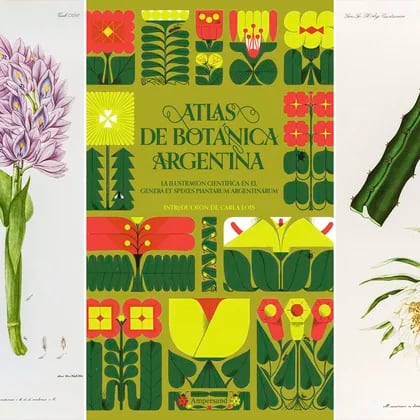Hojas. Atlas de Historia Natural: Botánica General. Lámina 03