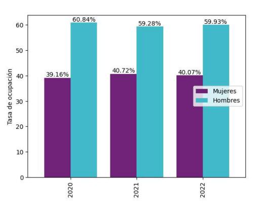 Grafico Tusdatos.co en el que se muestra laasa de brecha de género en las empresas - crédito Tusdatos.co