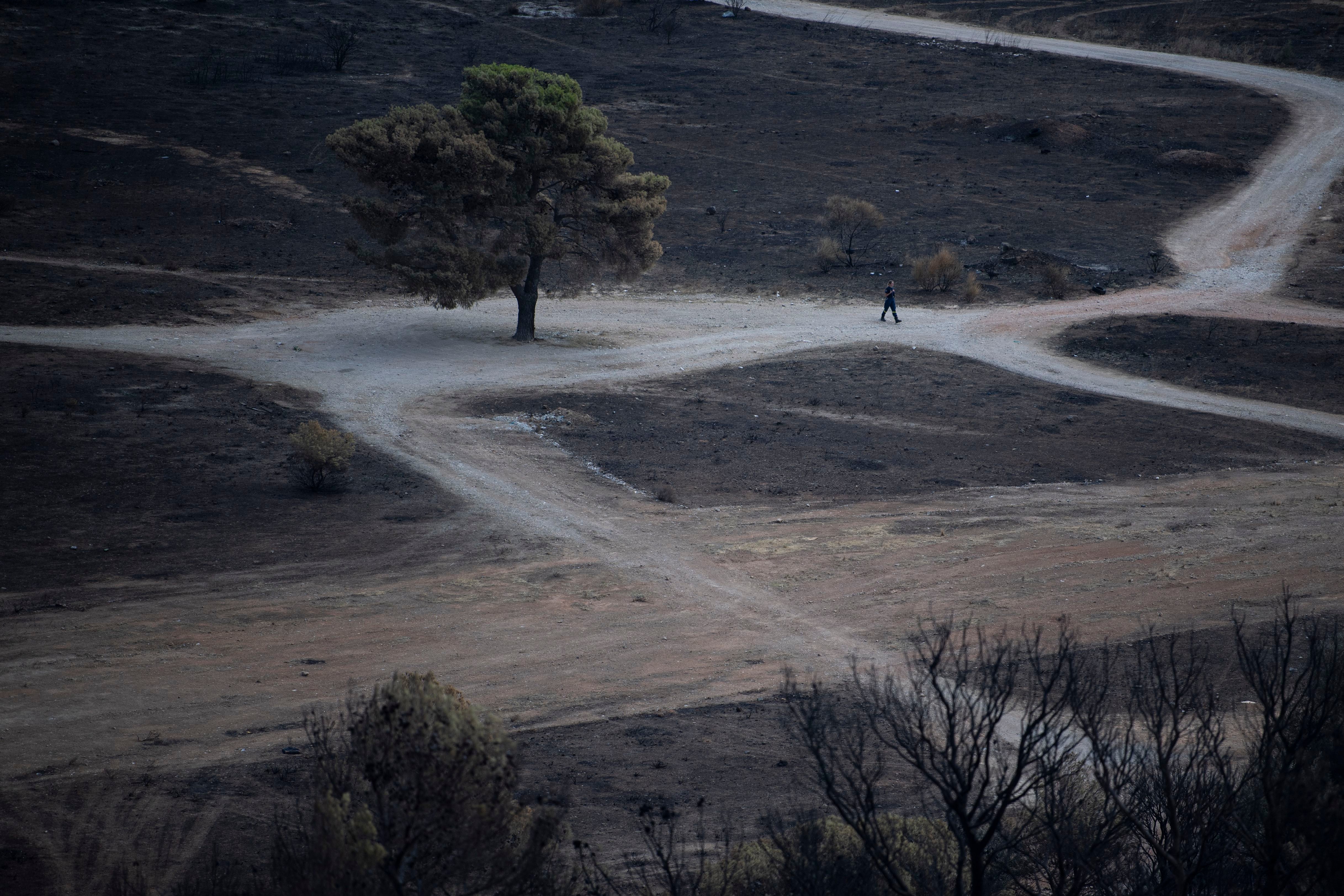 Un bombero recorre una zona quemada por los incendios forestales en Parnitha, en el noroeste de Atenas, Grecia. (Foto AP/Michael Varaklas)