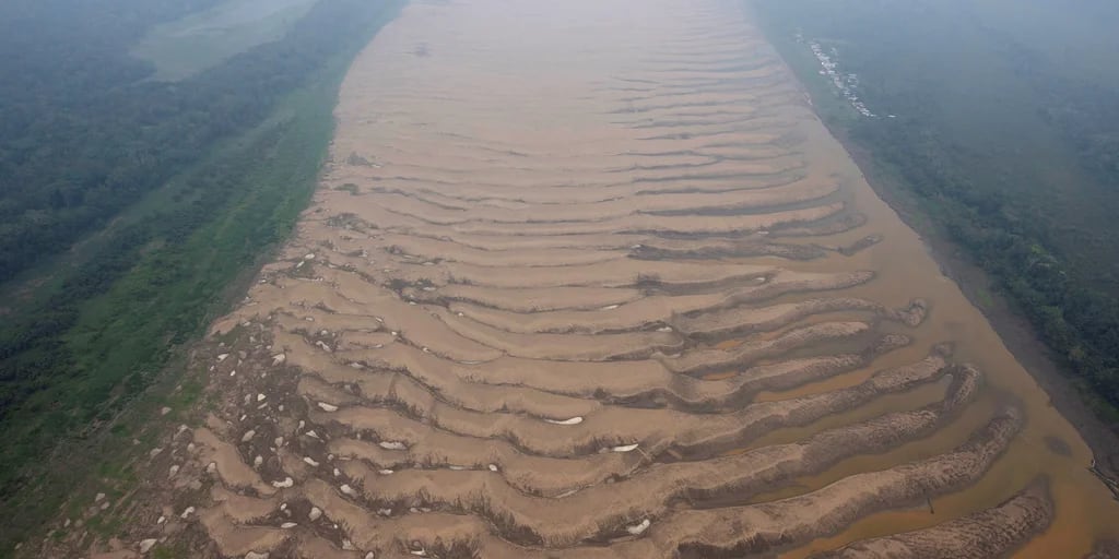 Los niveles de agua en el Amazonas están mínimos históricos por la sequía prolongada