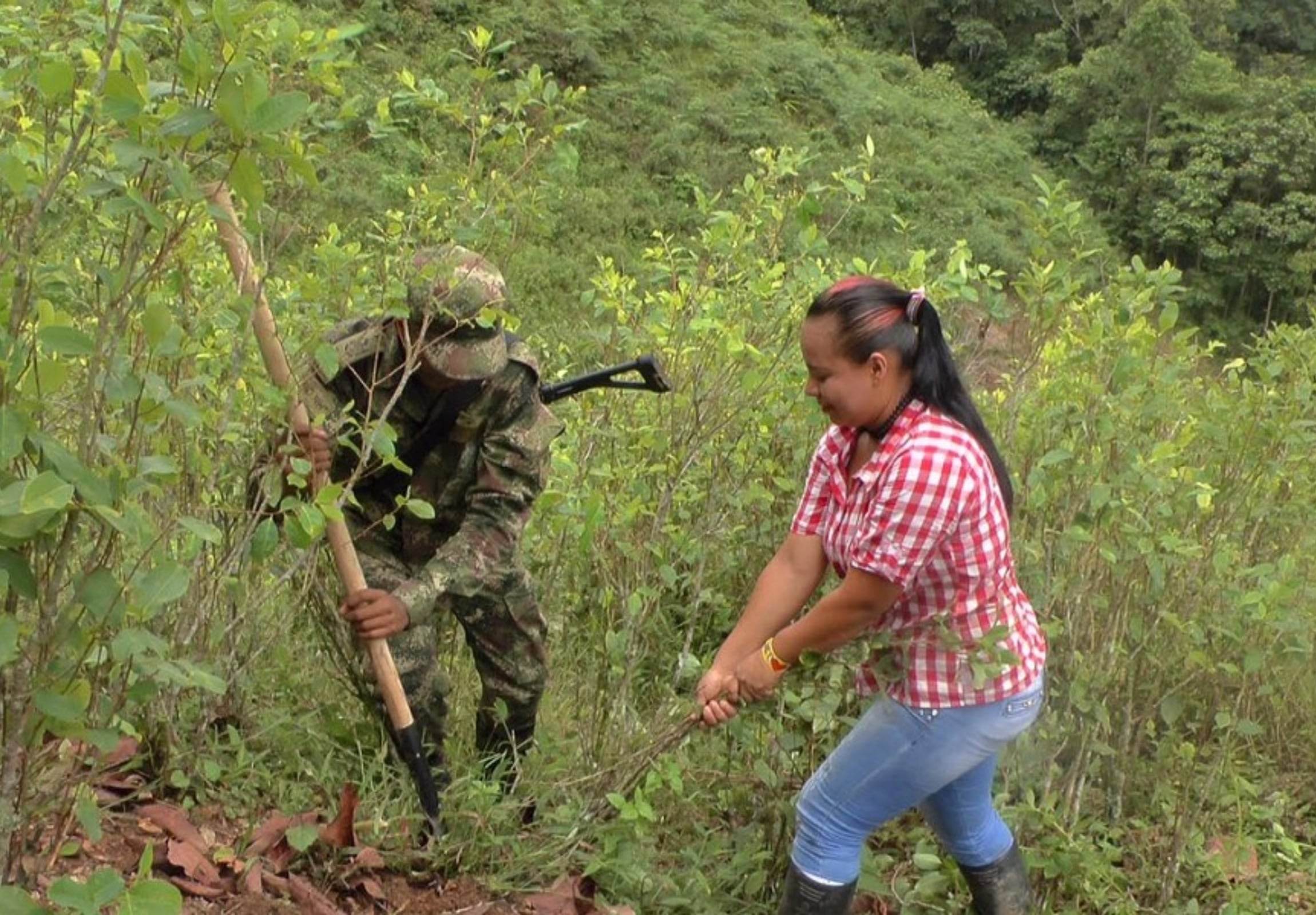 Los guerrilleros también estarían midiendo los predios de los campesinos - crédito Verdad Abierta