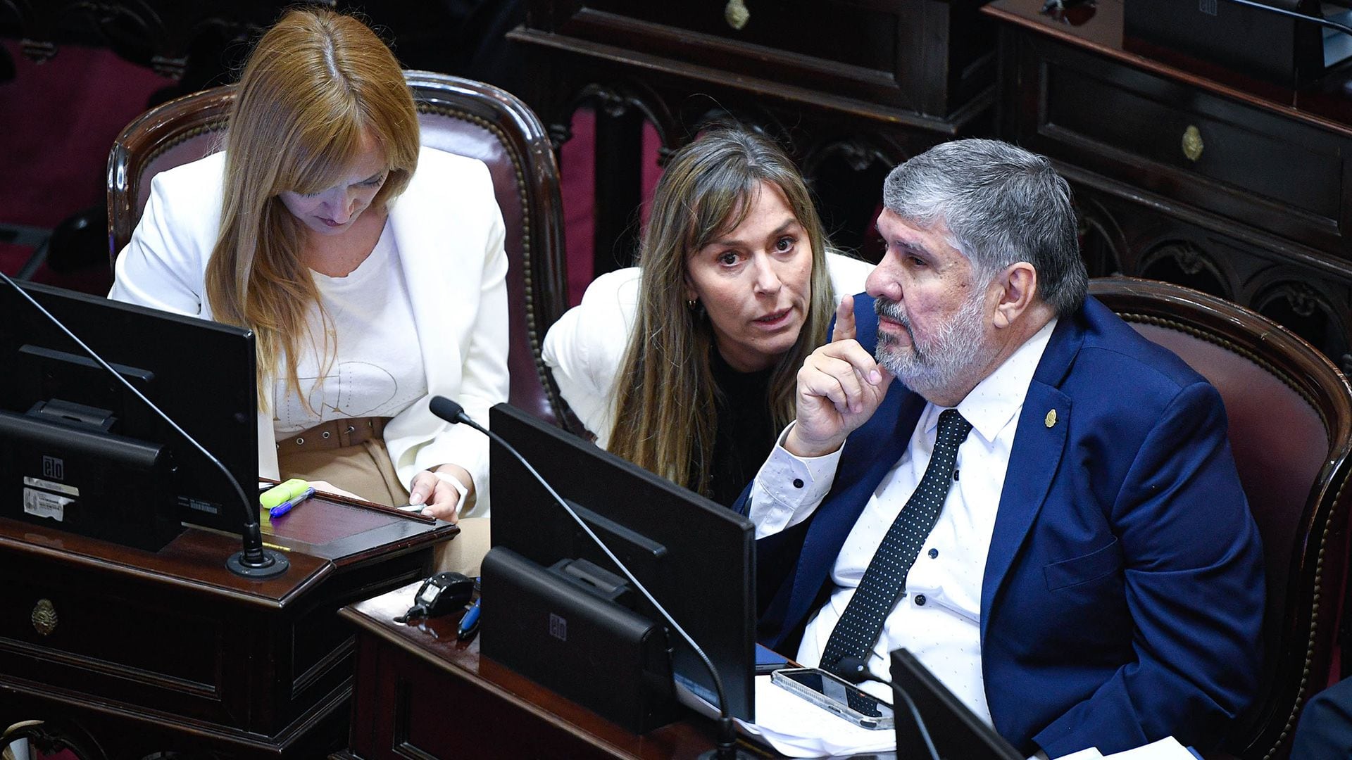 Anabel Fernández Sagasti, Juliana Di Tullio y José Mayans, del Frente de Todos (Comunicación Senado)