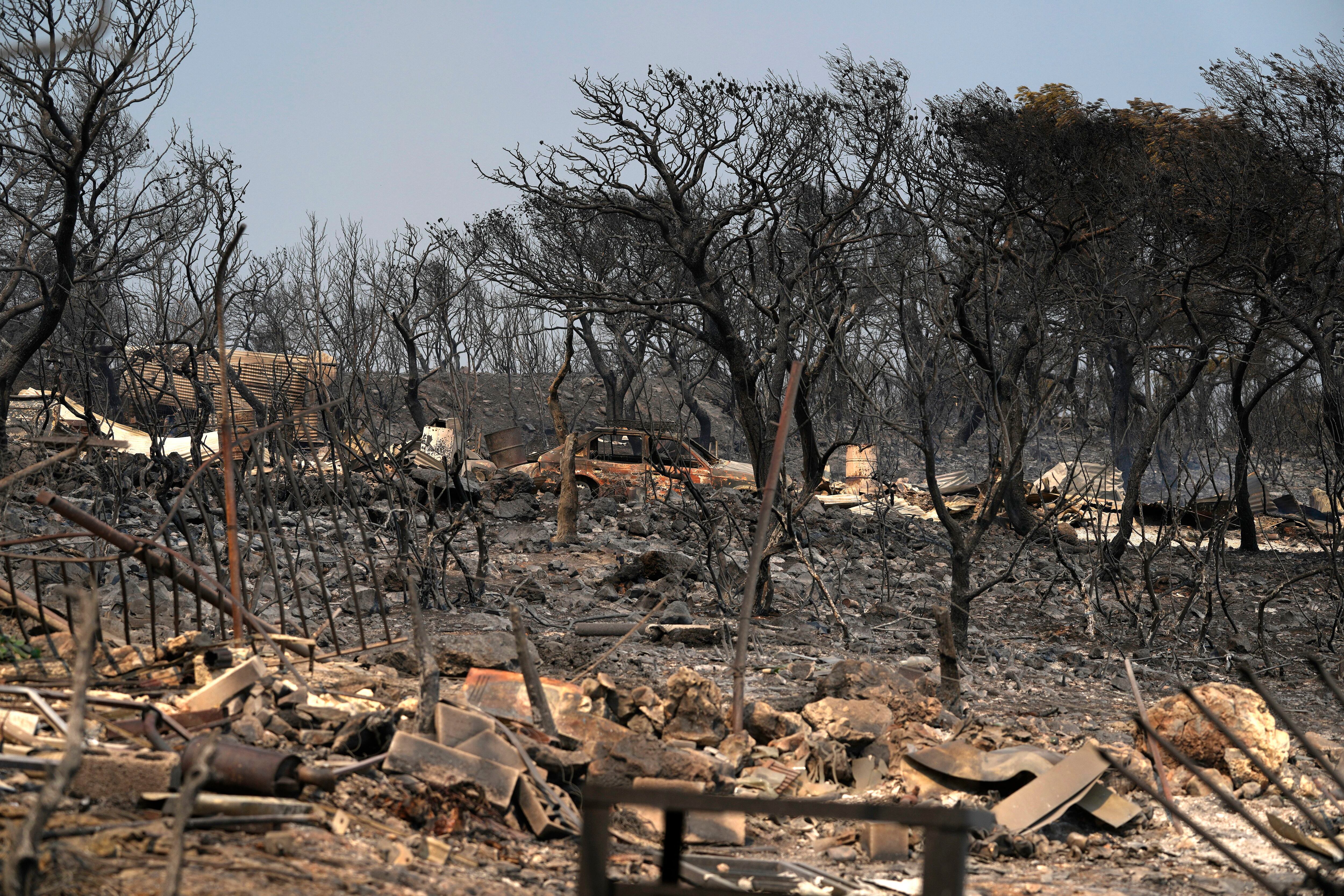 Árboles quemados y un coche tras el incendio de ayer en Mandra, al oeste de Atenas, el miércoles 19 de julio de 2023. La Unión Europea prestó asistencia, enviando aviones lanzadores de agua desde Francia e Italia y facilitando análisis de imágenes por satélite para ayudar a evaluar la magnitud de los daños. (AP/Thanassis Stavrakis)