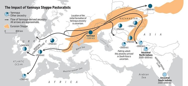 La Edad de Bronce extendió la ascendencia de los pastores esteparios de Yamnaya a dos subcontinentes: Europa y Asia meridional (Science Magazine)