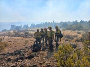 brigadistas en el incendio forestal en el Parque Nacional Los Alerces de Chubut