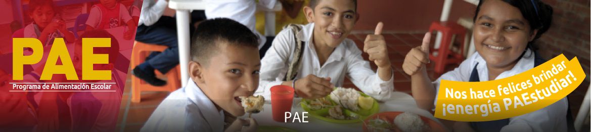 Programa de Alimentación Escolar PAE - crédito Programa de Alimentación Escolar/Sitio web