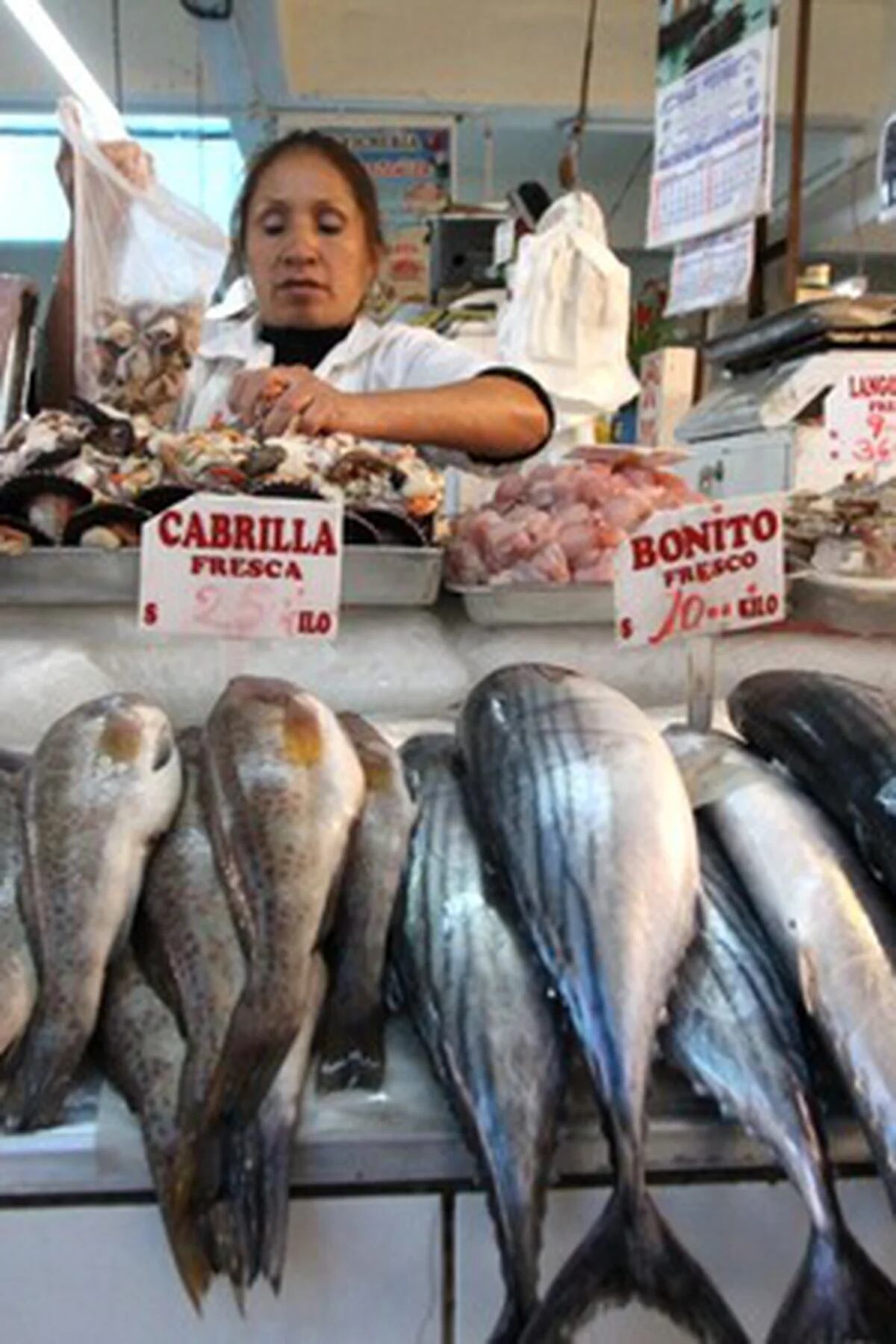 Semana Santa: sepa cómo reconocer un pescado fresco, Noticias