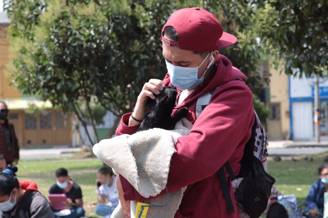 En Enero Bogotá Ofrecerá Más De 4 000 Turnos Para La Esterilización De