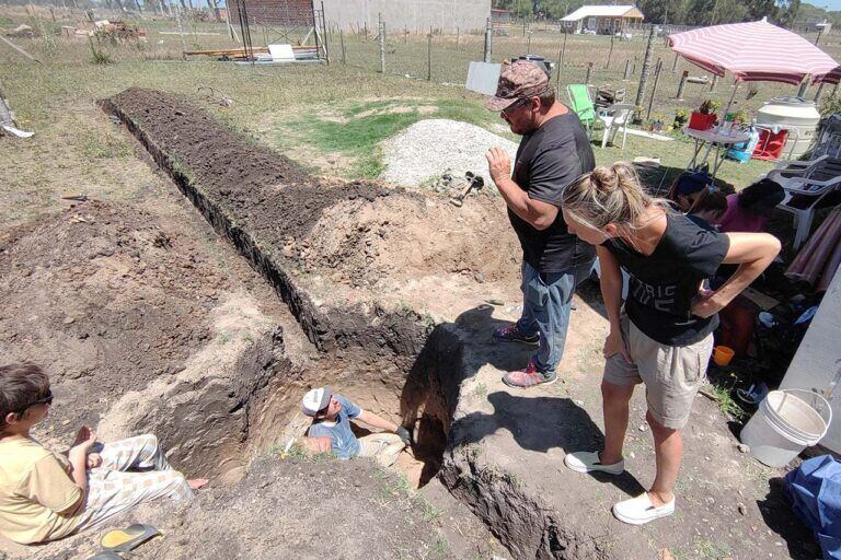 Necochea Hallaron Restos De Un “tigre Diente De Sable” Donde