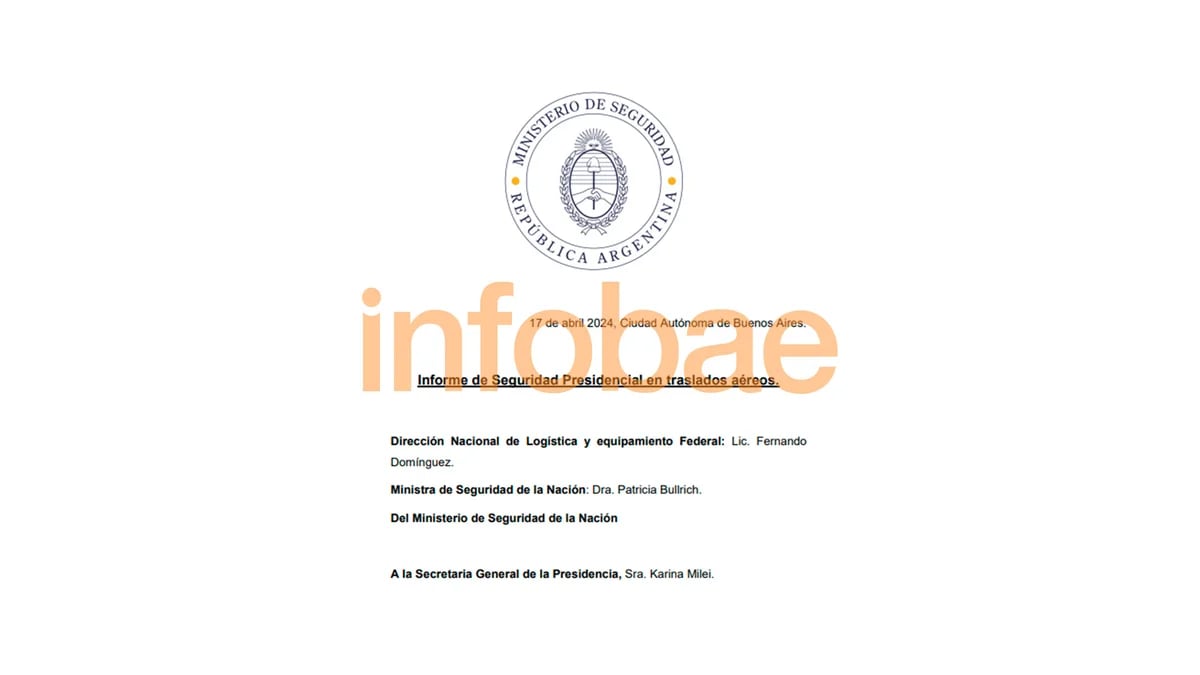 El impactante informe reservado que decidió al Gobierno dejar de usar vuelos comerciales para el traslado de Javier Milei