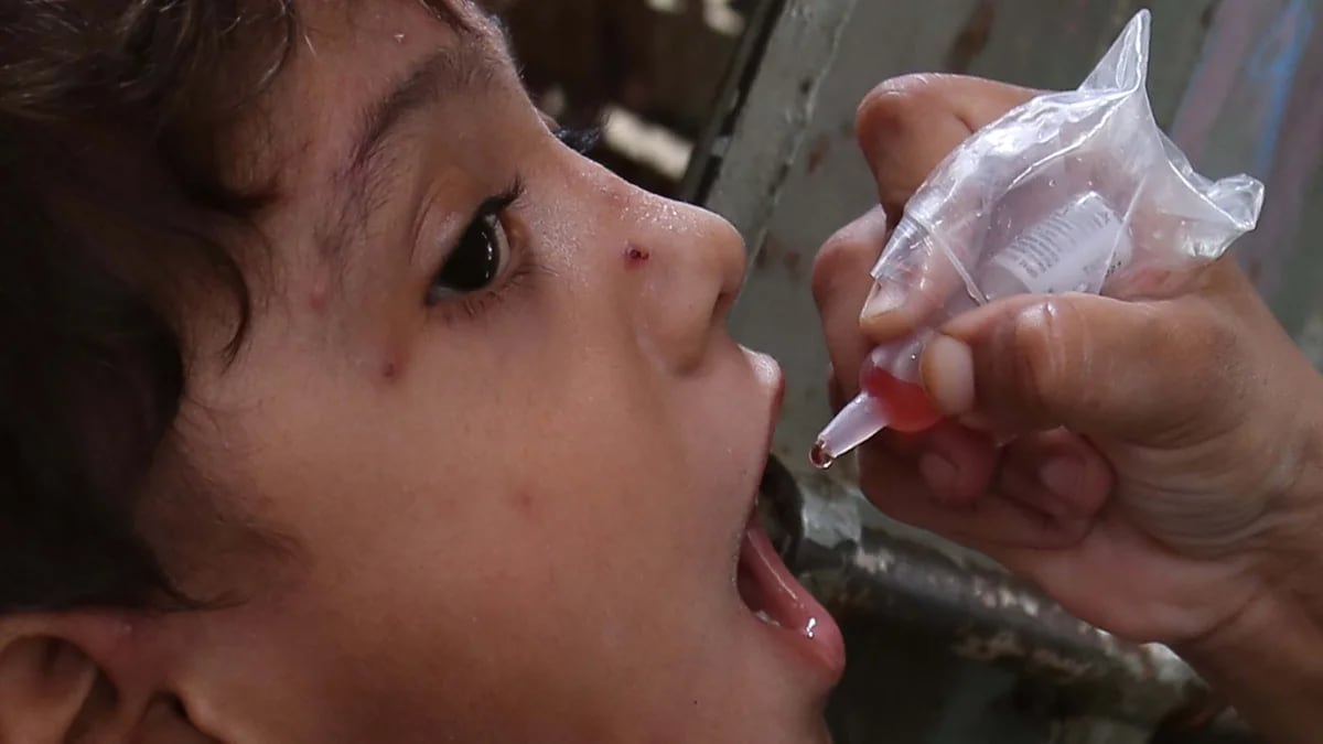 La OMS y Unicef insisten en una pausa humanitaria en Gaza que permita la vacunación contra la polio de los niños