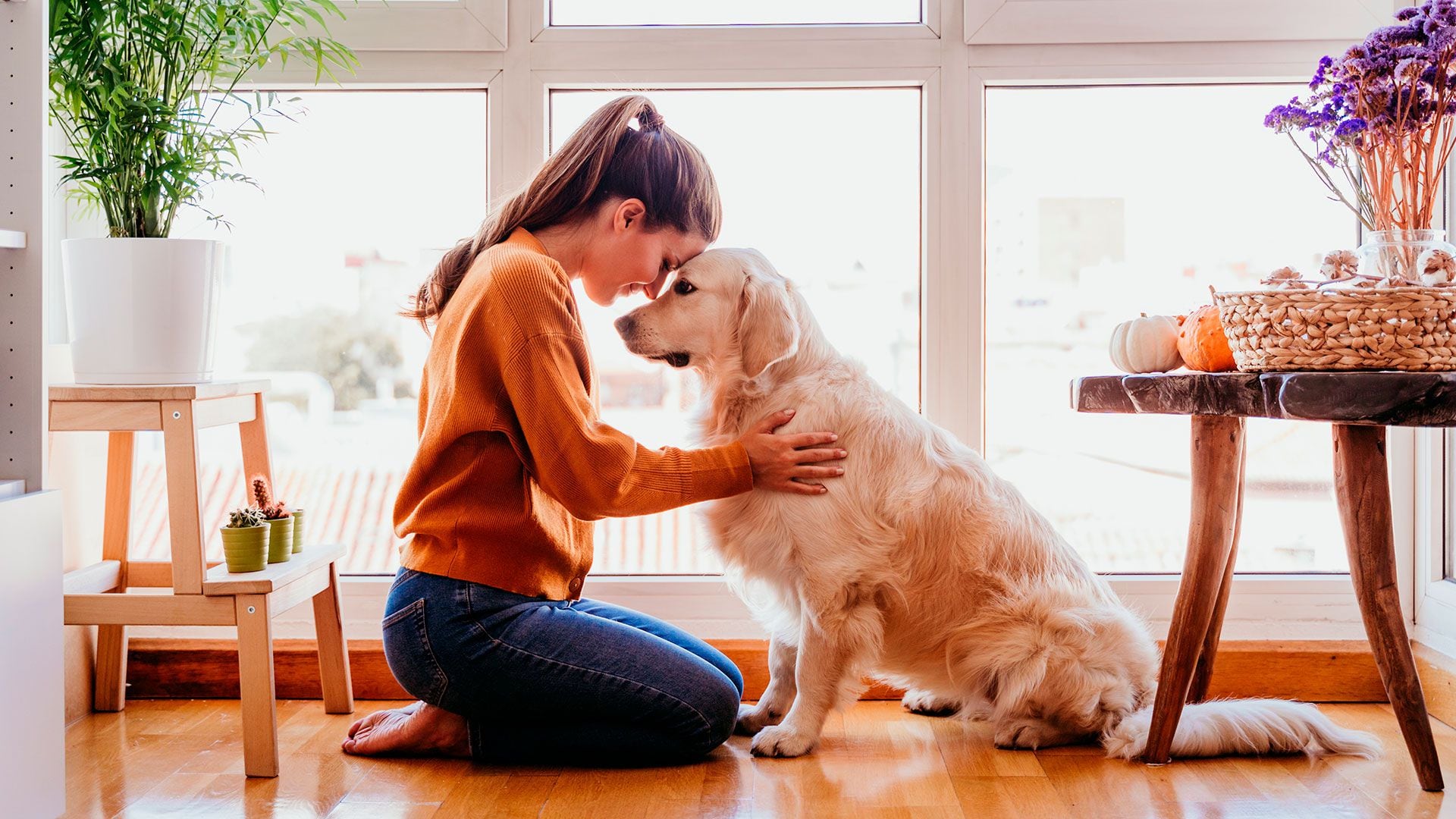 Los perros pueden disminuir la sensación de soledad y estimular el contacto físico