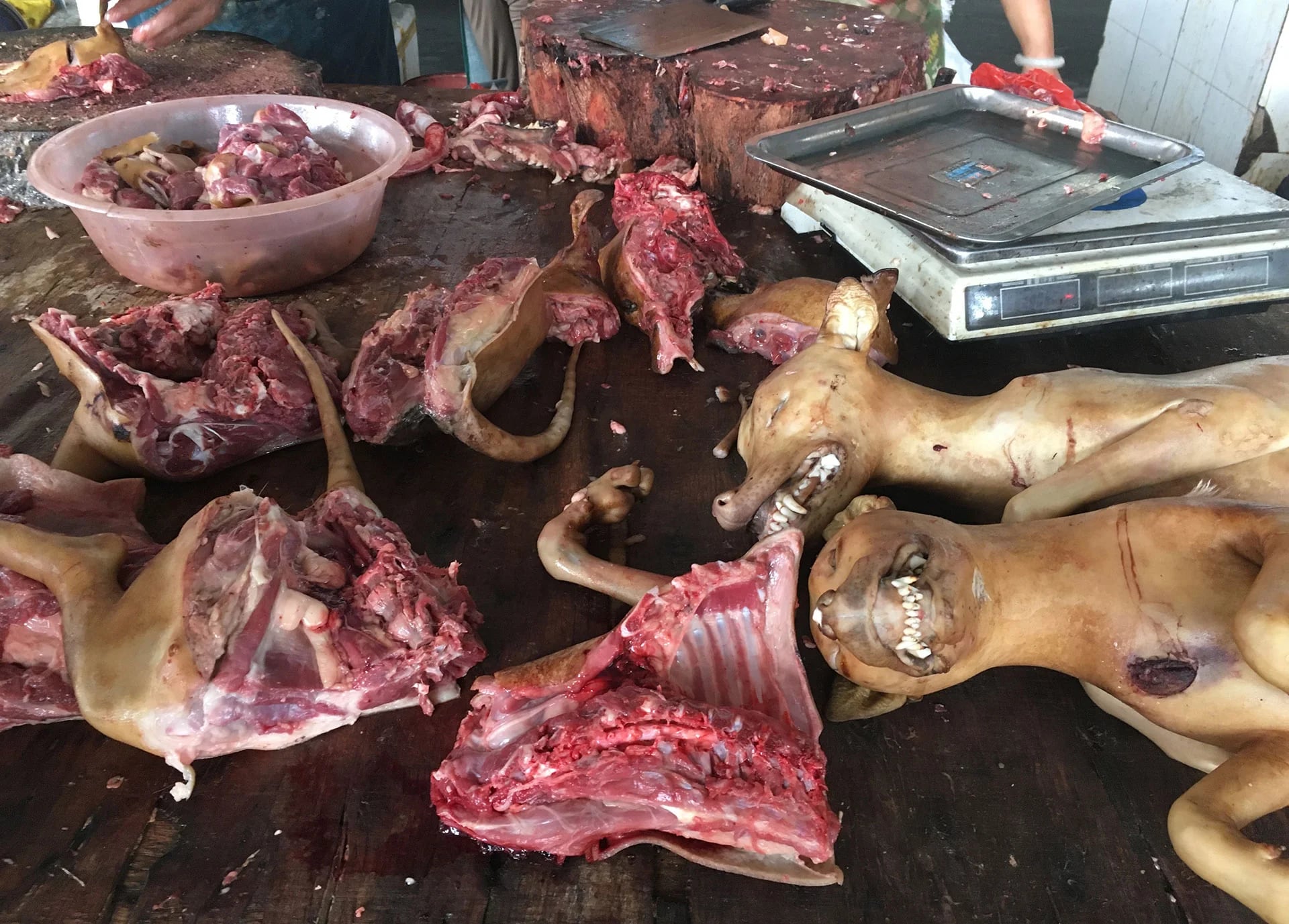 En la tradición, que data de la dinastía Ming, también se cree que la carne de perro da fuerza