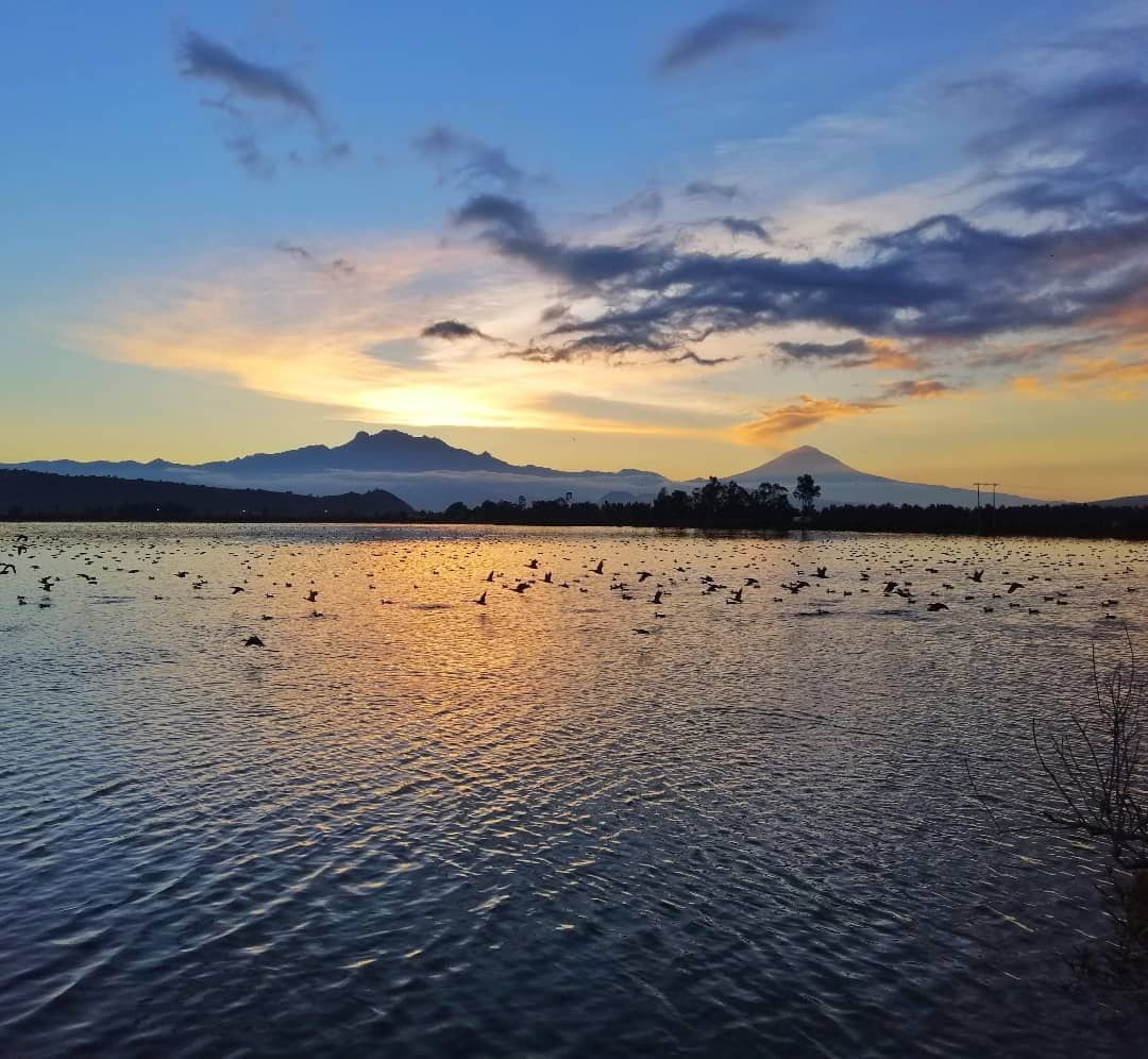 Tres Lugares En México En Peligro De Desaparecer Por La Contaminación Infobae